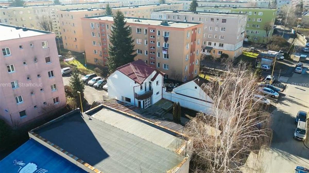 Birouri/Comercial/Rezidential:Casa individuala, curte proprie, cartier Florilor, - 23