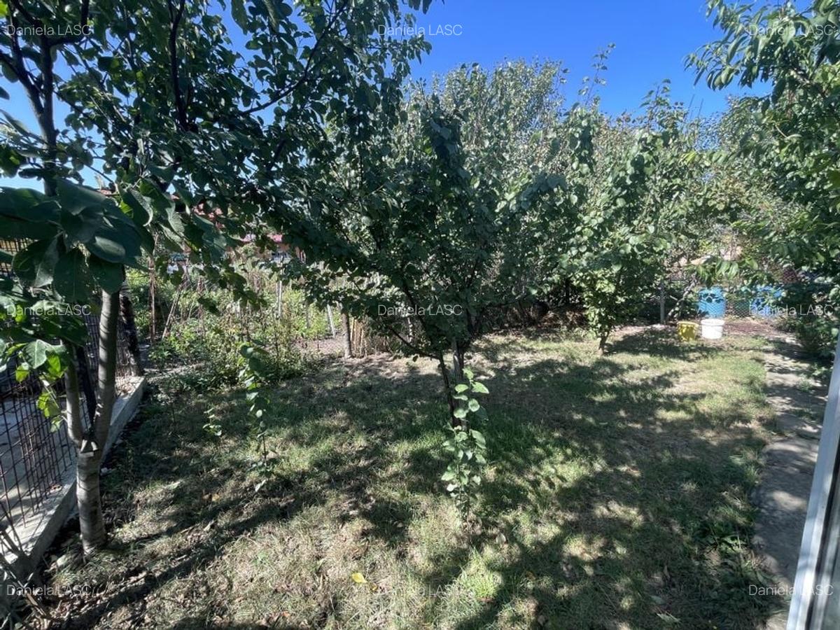 Casa cu teren 1000 mp și front 26 ml în zona Bogdanesti - 5