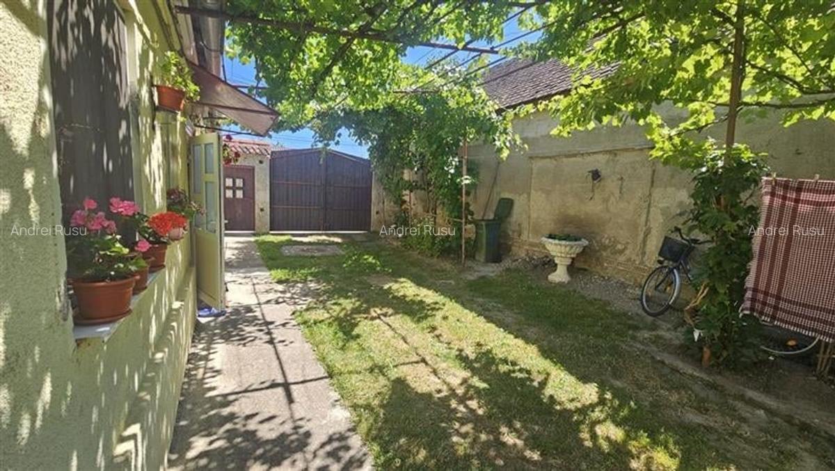 Casă individuală cu 2 camere în Central - 14