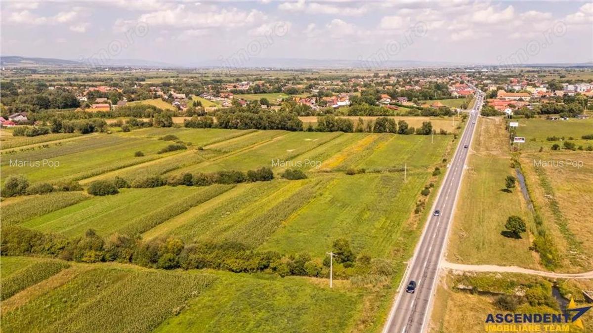 Teren extravilan Lunca Calnicului langa E574 - 18