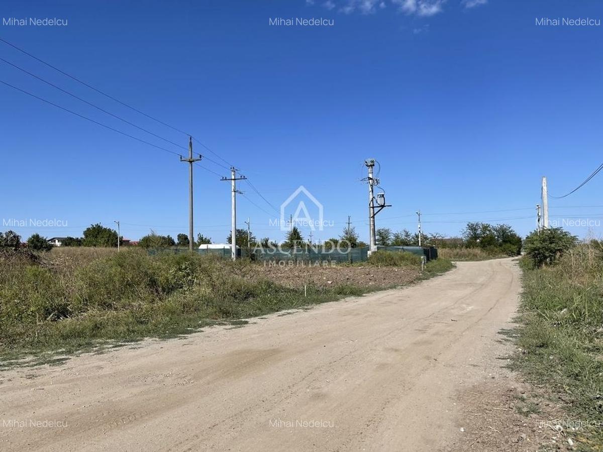 Teren Intravilan 3.000 mp Jilava  Investiție sau Rezidențial - 3