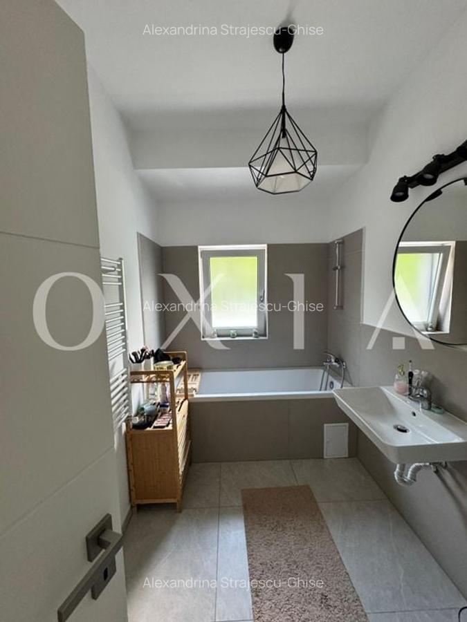 SX597 Dumbravita, Padure (Kaufland), Ideal Investitie - 4