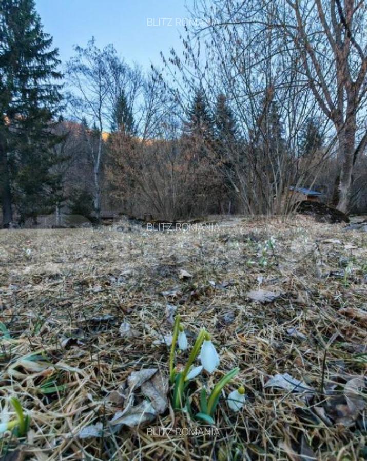 Casa de vacanta de vanzare in Rasnov - Brasov - 2