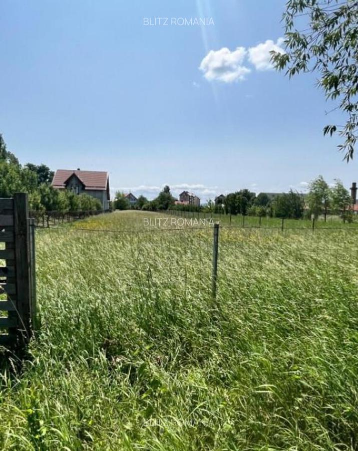 Teren intravilan ,2000 mp,Radauti - 4