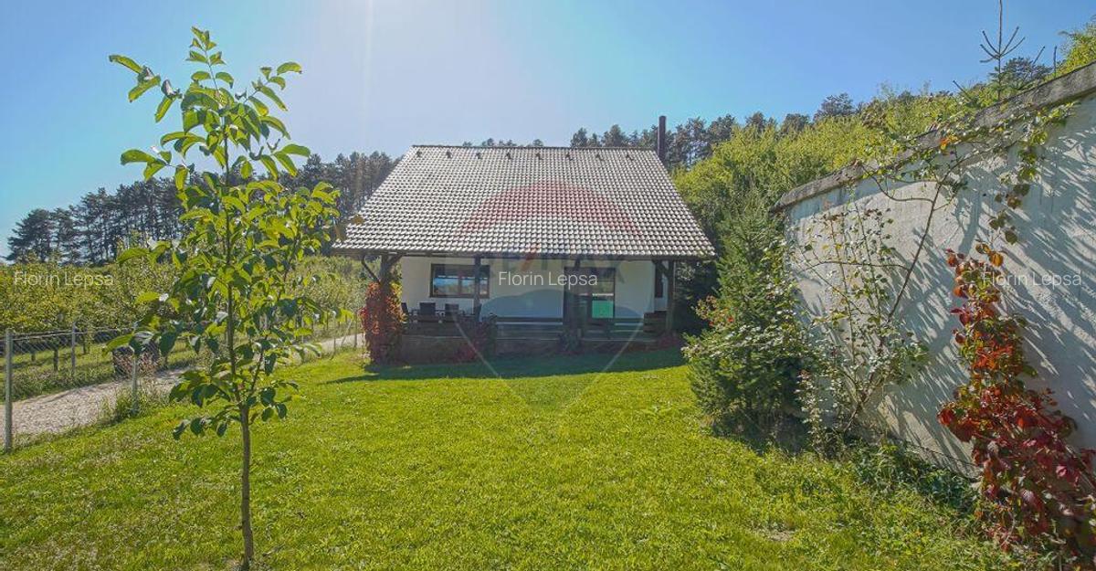 Comision 0%! Vila moderna, in mijlocul naturii - 4