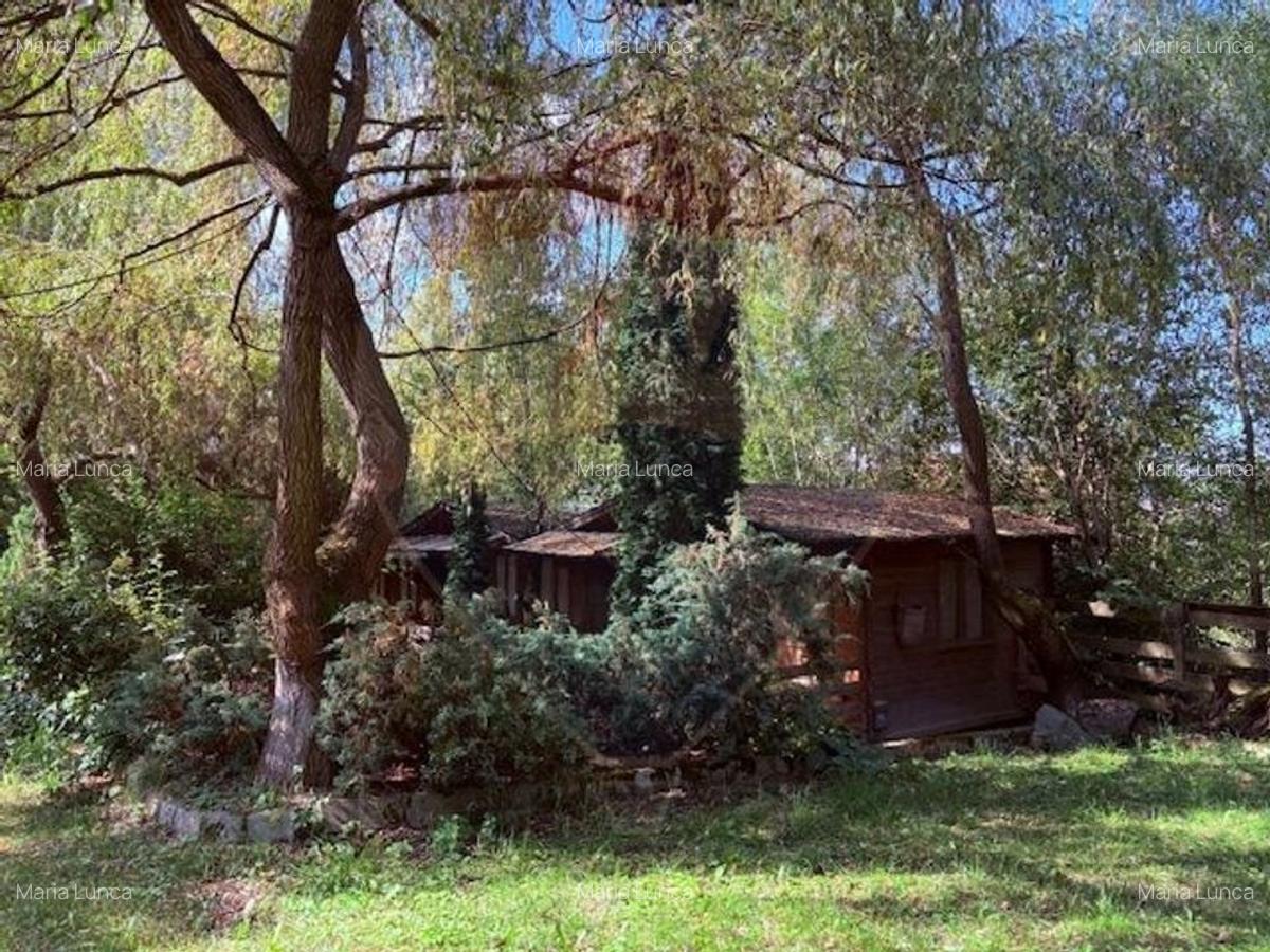 Ansamblu de 7 Casute de Vacanta, Ocna Sugatag - 10
