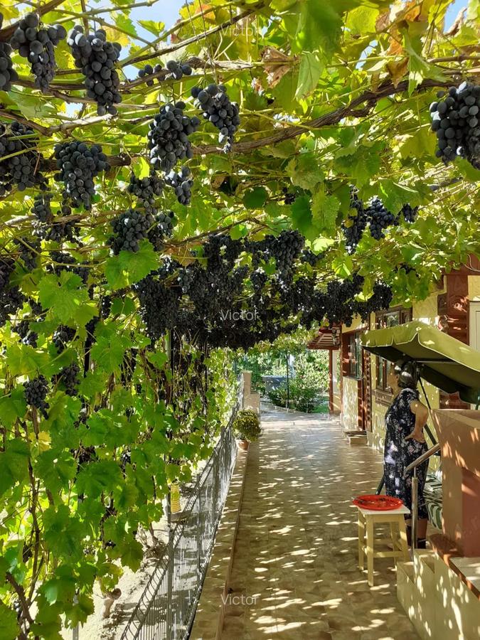 Vand casa com Jorasti jud Galati - 6