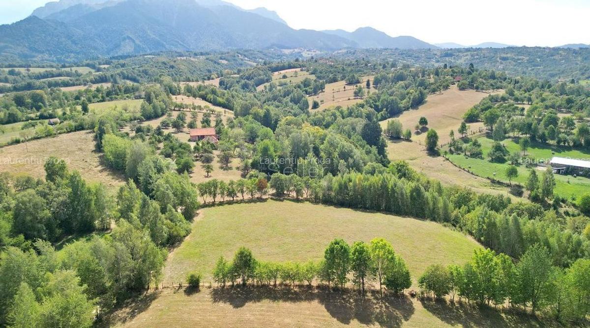 Teren intravilan, priveliste deosebita - 18