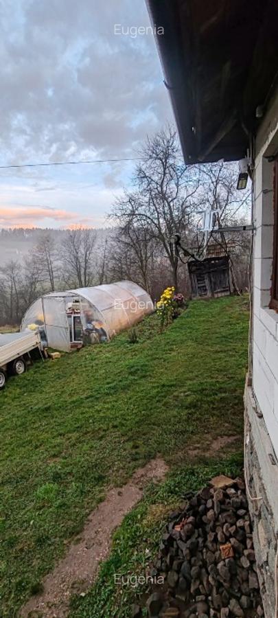 Vand casa batraneasca sat Trestia - 6