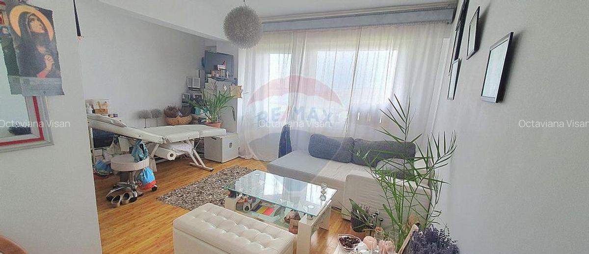Apartament cu 2 camere de vanzare in zona Crisan - 1