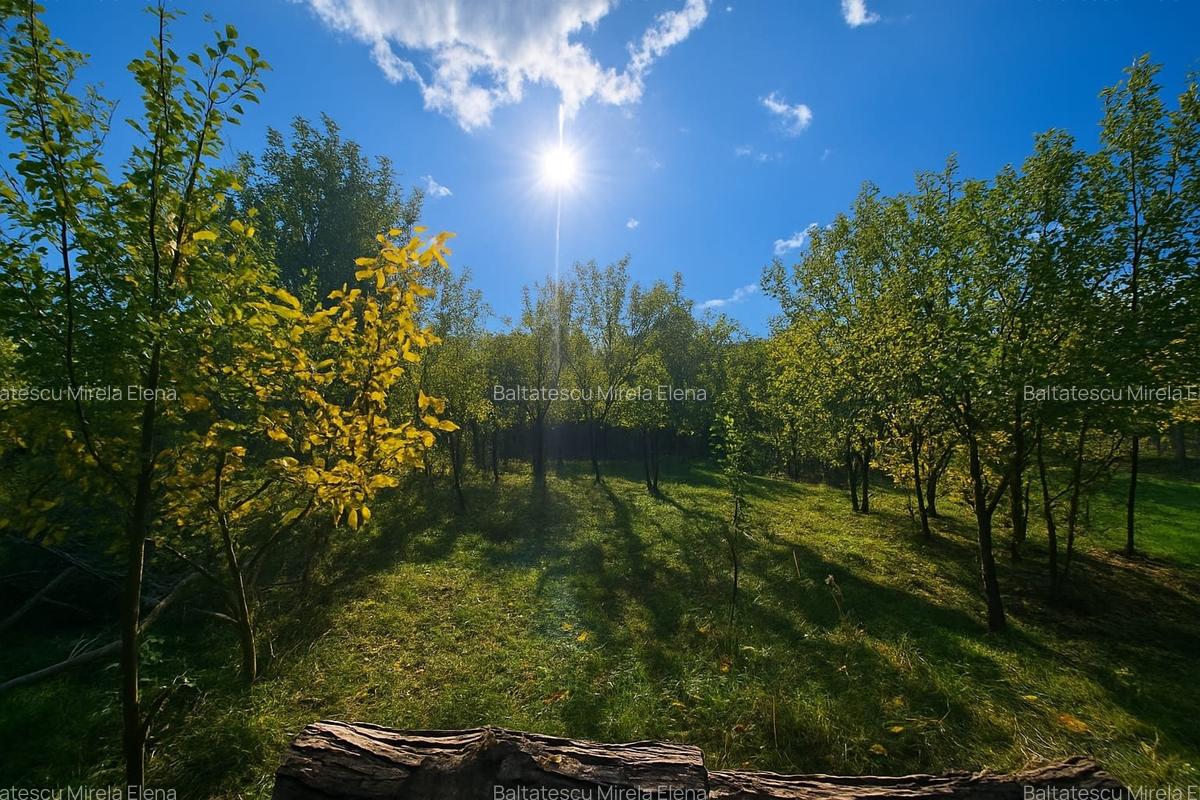 Casă tradițională într-un peisaj de vis – Vâlcănești - 29