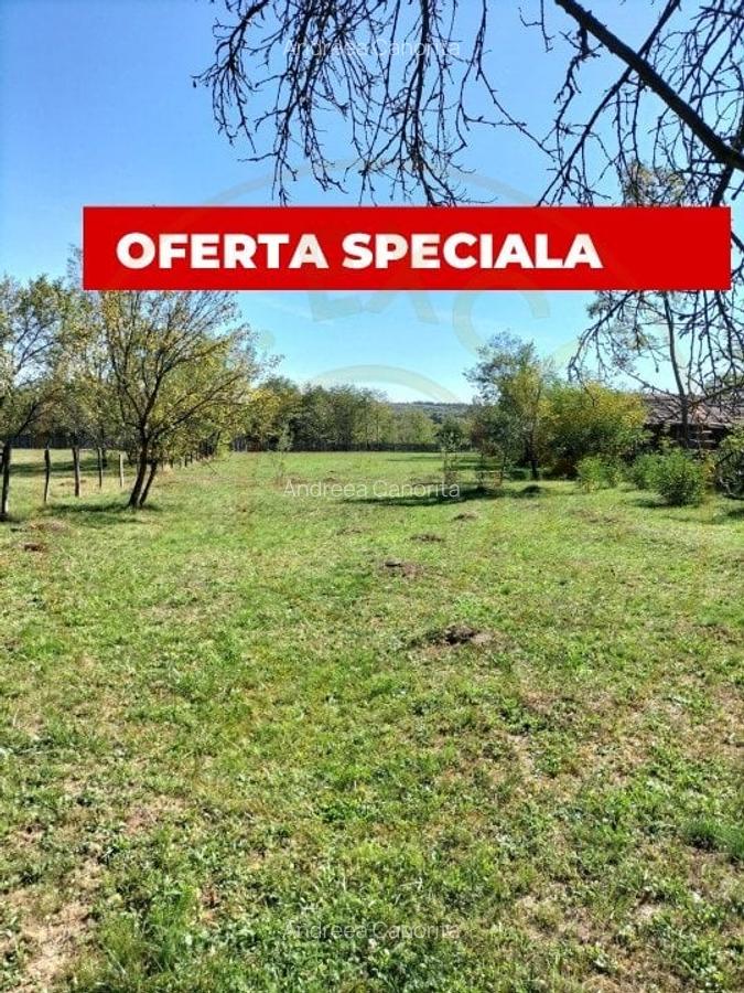 Teren intravilan de vanzare in Berevoiesti, Arges - 2542 mp -raul Bratia! - 1