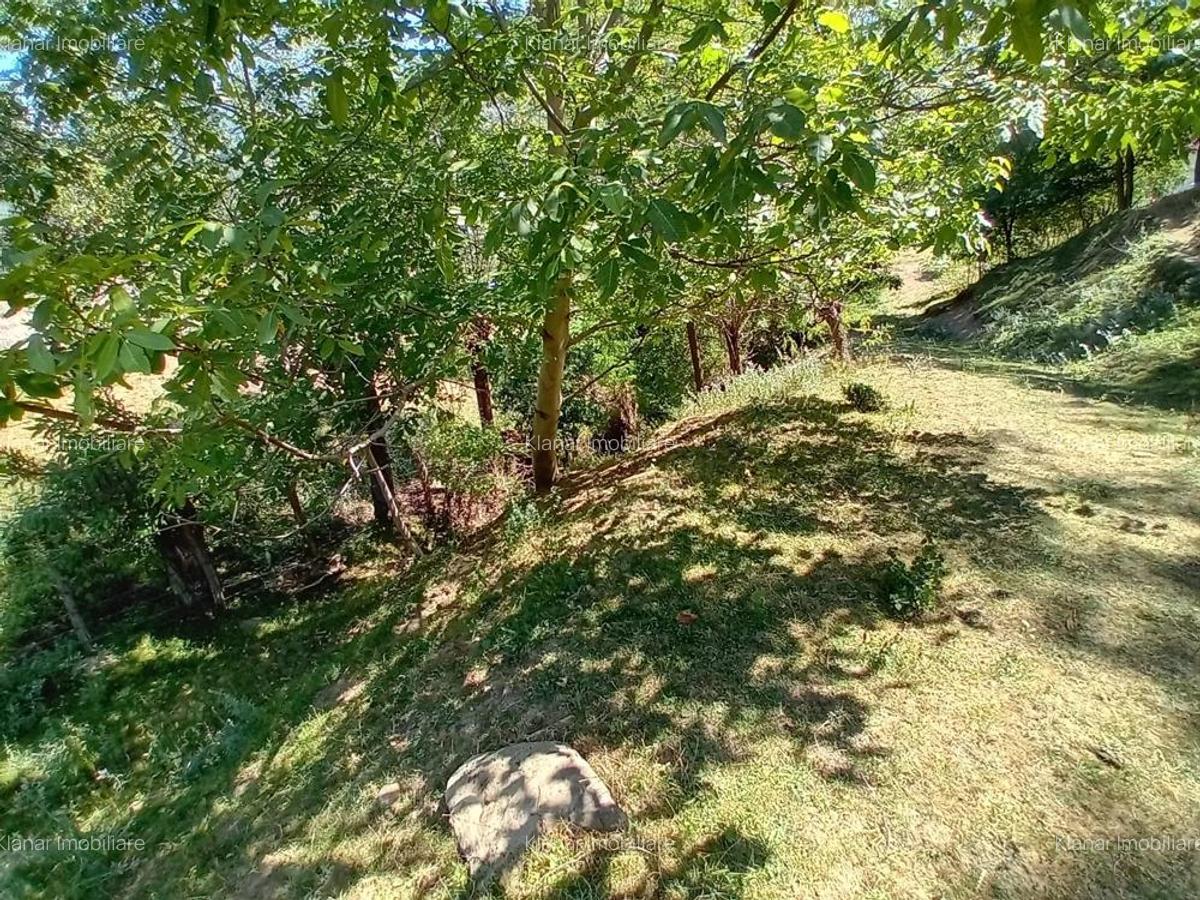 De vanzare teren intravilan in zona de munte - 9