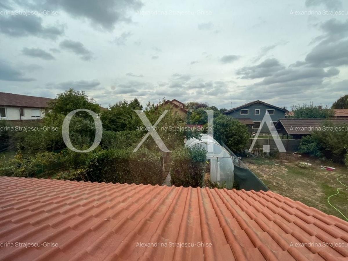 SX636 Dumbravita Padure - Teren Generos - Disponibil Imediat - 20