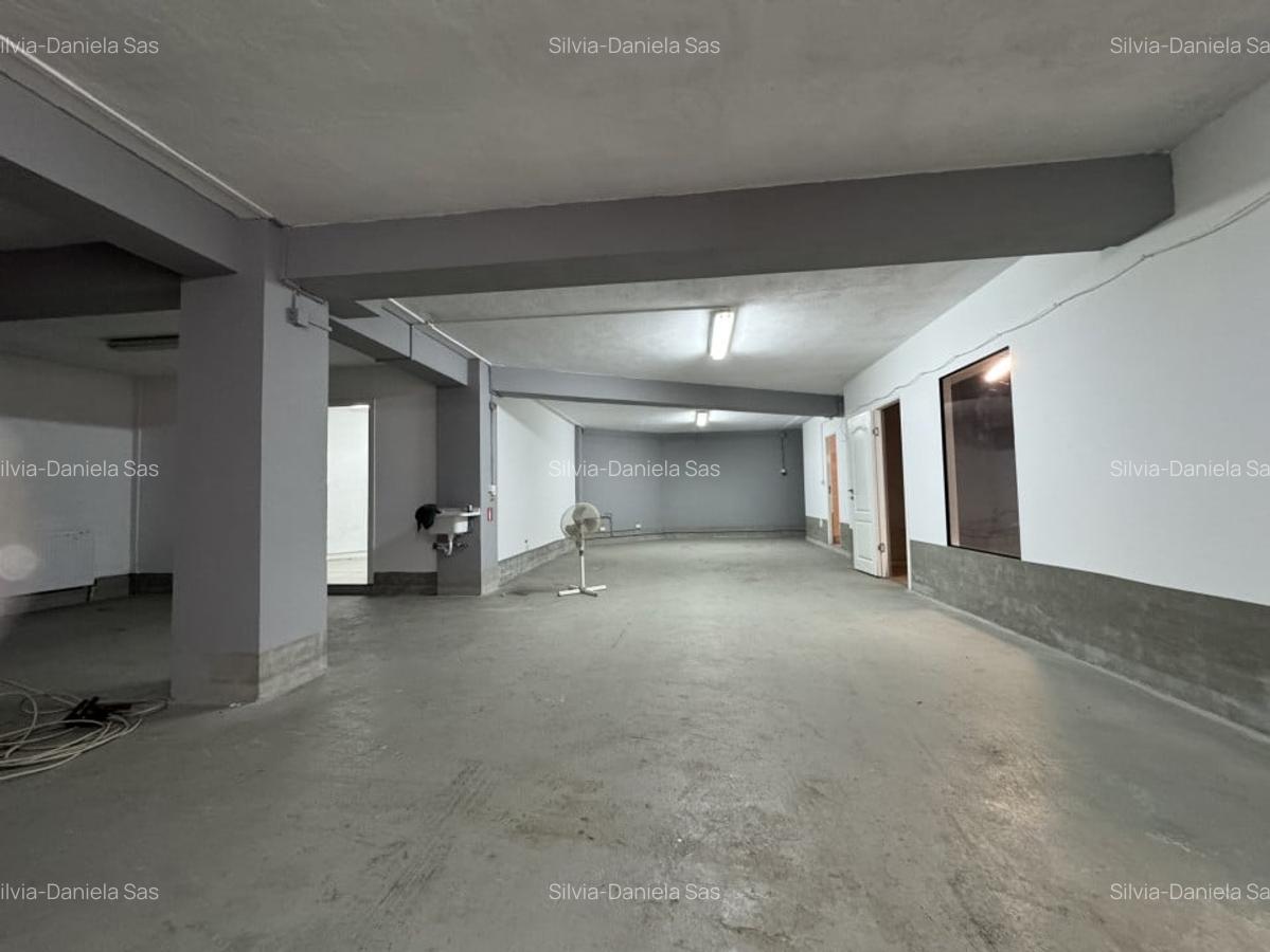 Spatiu comercial, 229 mp utili, rampa acces auto, zona Iulius Mall - 9