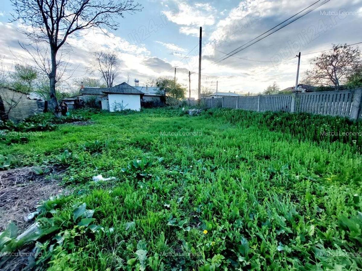 Vand Casa Maldaeni - 2