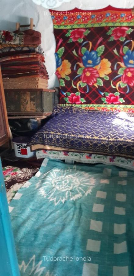 Vand casa in Teleorman, sat Albeni - 6