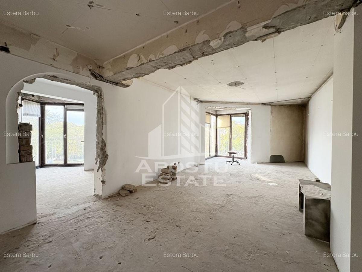 Vedere superbă spre Parcul Botanic, apartament 3 camere, Piața Unirii - 3