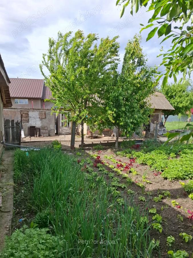 Vand Casa + Teren 700 mp in Lunca Pa?cani - 5