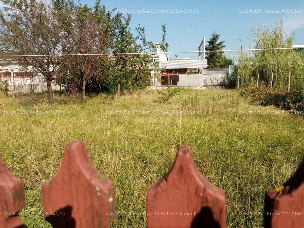 Casa de vanzare - 9