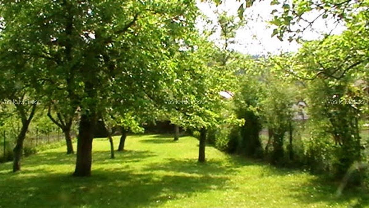 PROPRIETATE: 1500 mp, cu casa saseasca autentica, in Cristian, Brasov - 10