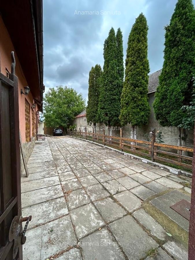 Proprietate specială, 280 mp în Dumbrăvița - 3