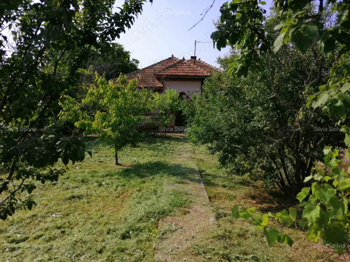 Teren intravilan de vanzare pe care se afla o casa batraneasca - 8