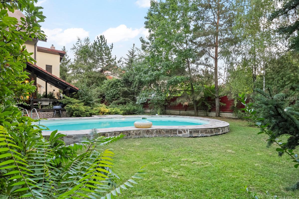 Promotie -  vila langa padure cu piscina-Paradisul Verde - 8