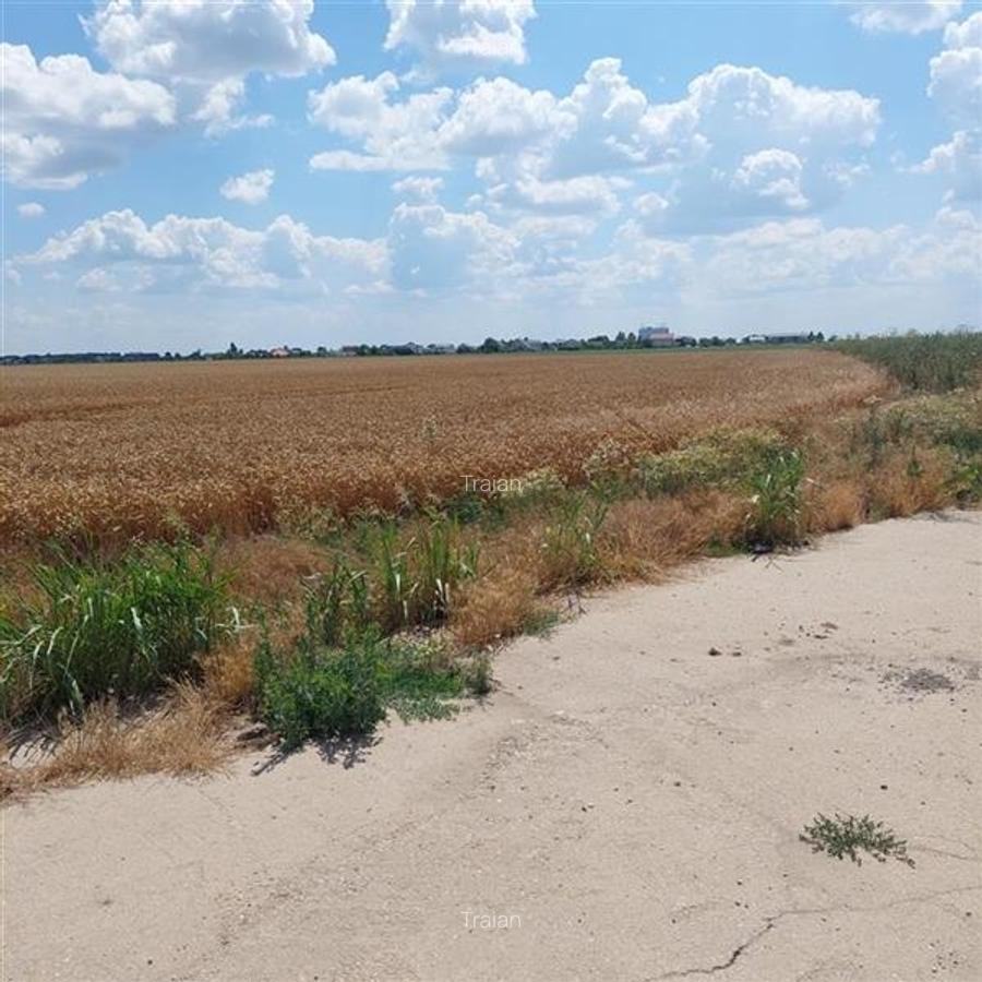 Teren 88000 mp de vanzare, Glina - 5