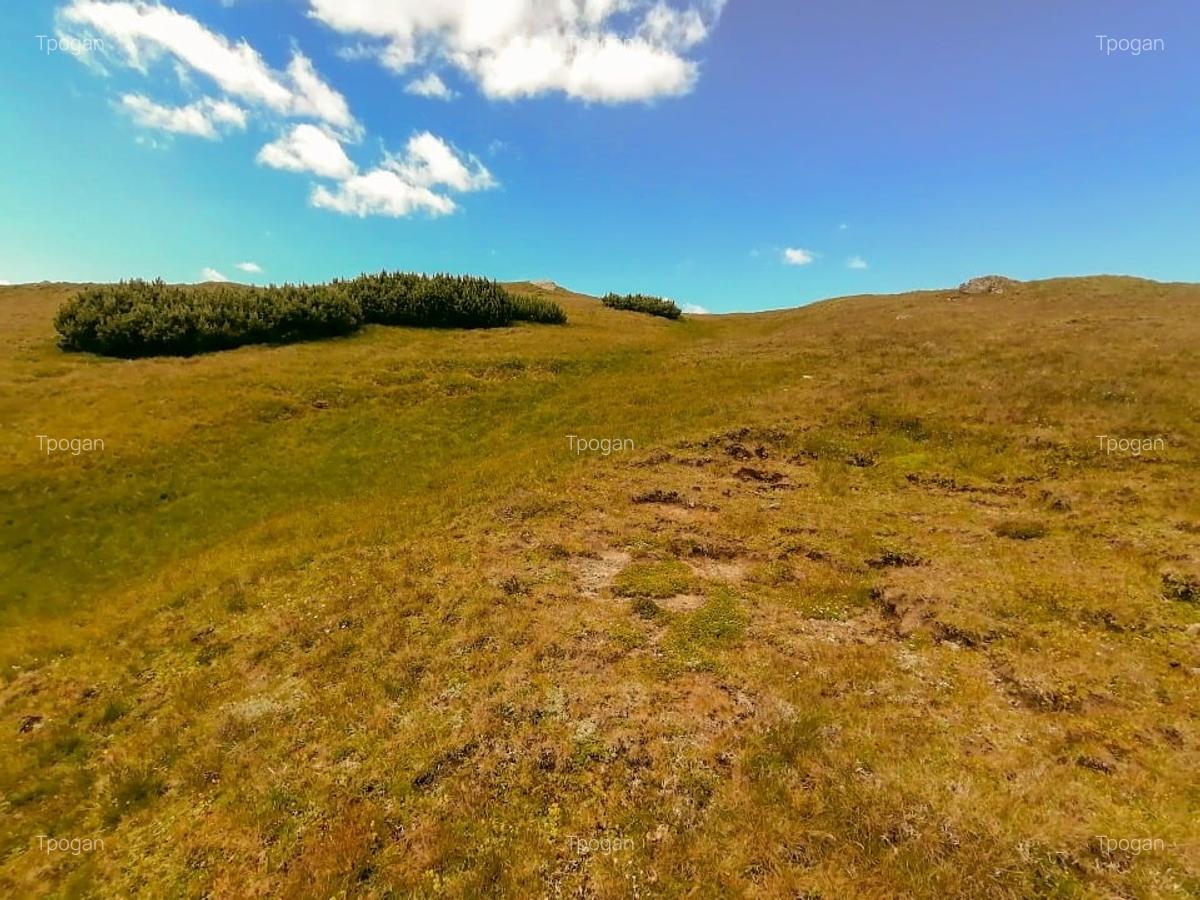 Terenuri in Bucegi, Zona Alpina Inalta, pentru dezvoltare cabane, vile turistice - 10