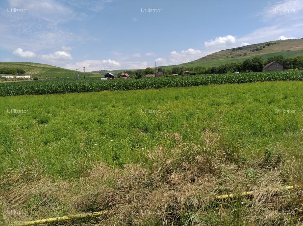 TEREN INTRAVILAN EXCEPTIONAL 6.600 MP LA MARGINEA SOSELEI ASFALTATE - IEFTIN ! - 2