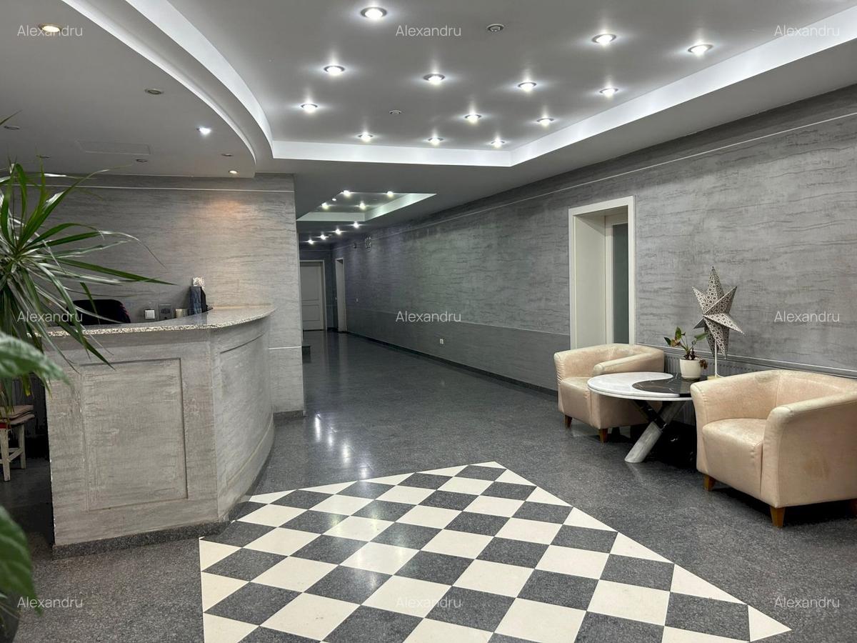 Parc Herastrau 4 camere lux vedere parc - 14