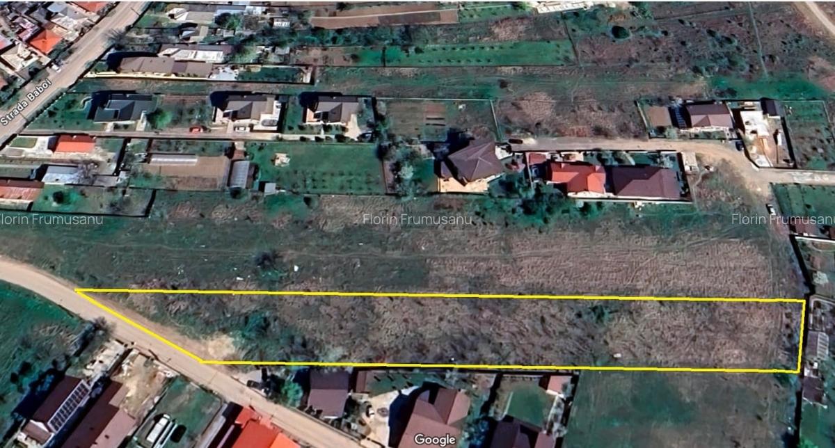 Teren intravilan 5.293 mp-deschidere 42m-Domnesti Ilfov, utilitati la limita - 1