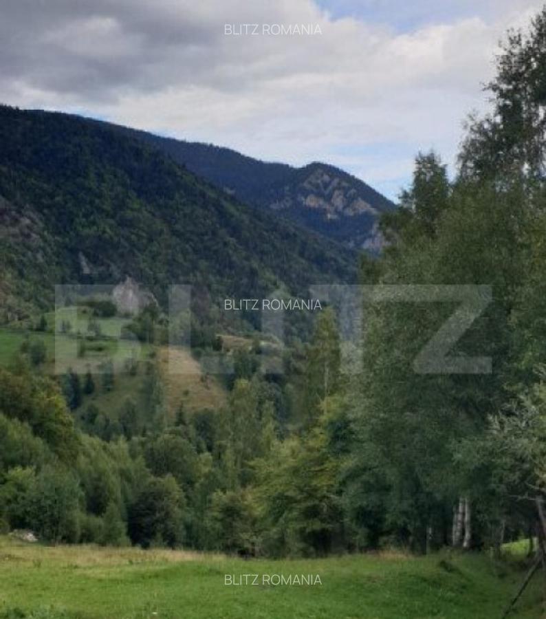 Teren 13.570 mp, Moieciu Pestera - 30