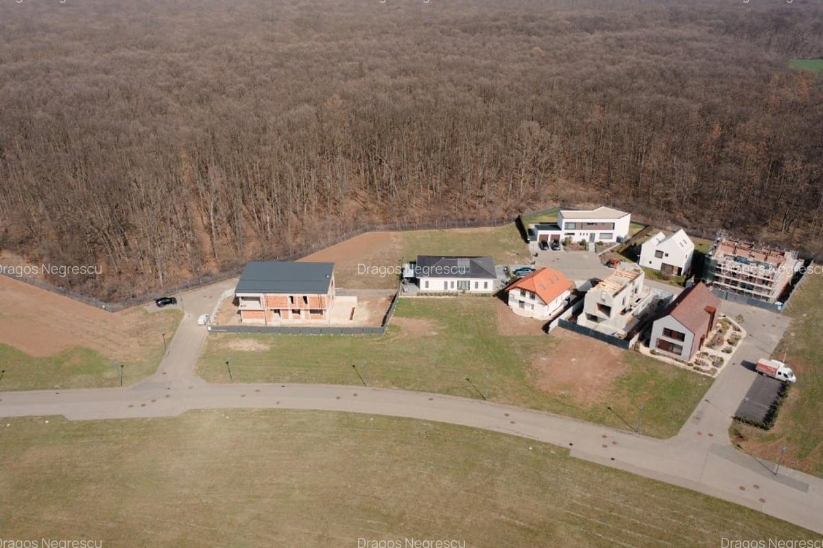 Teren de vis în Dumbrava Vlăsiei – 1290 mp, la marginea pădurii mature - 4