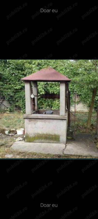 Casa Josani in com Pestisu mic la 9 km de oras Hd. Sup 2500 mp gradina,curte + livada - 7