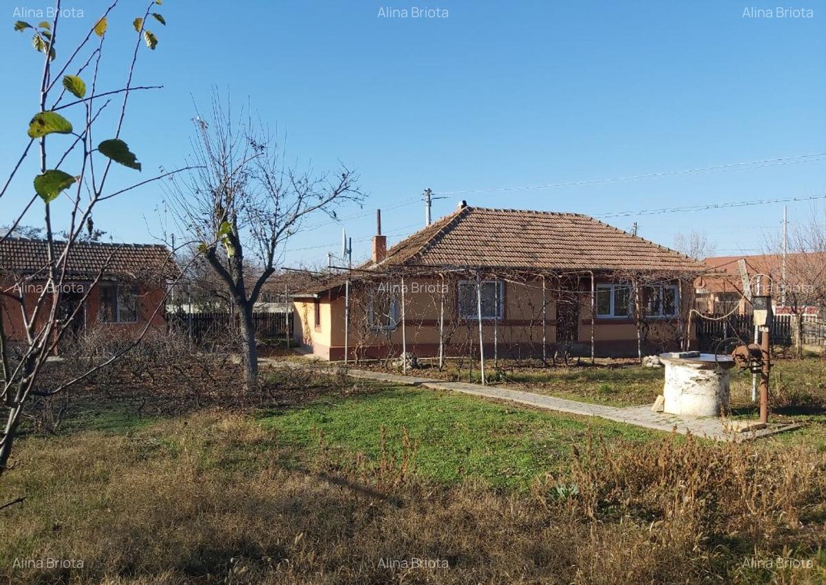 Casa plus teren Andrasesti - 4