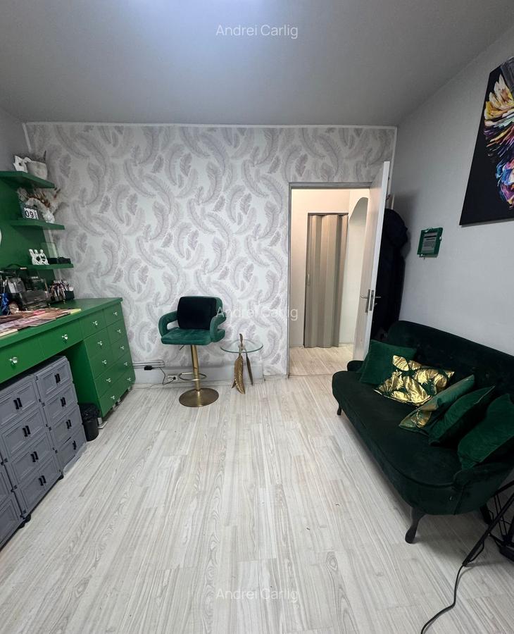 Spatiu comercial Podu Ros - 3