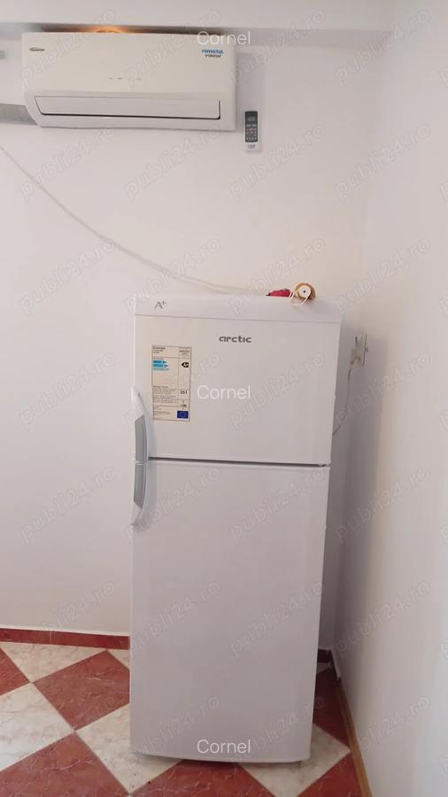 Garsoniera cu baie, Mihail Sturza - 2