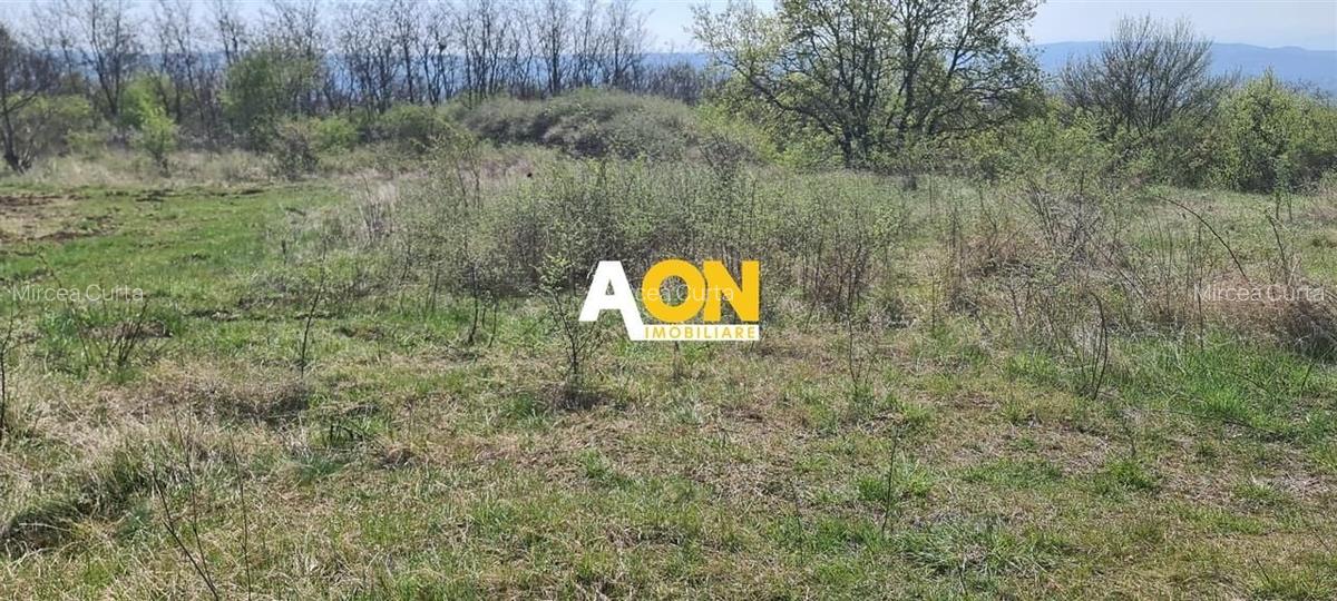 Teren de vanzare in zona Platou, toate utilitatile, 1000MP - 2