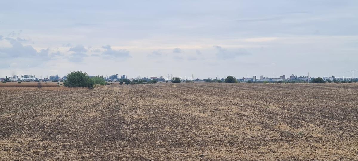 Magurele, Ilfov, depozit Urgent Cargus - 8 Magurele, Ilfov, depozit Urgent Cargus - 8