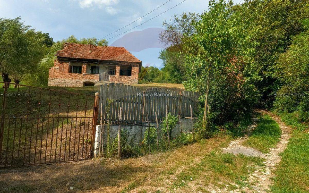 Casa veche cu teren ,Varmaga jud Hunedoara - 2