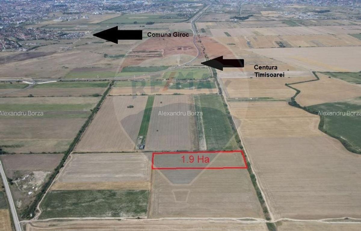 Teren agricol extravilan - 19.900 mp, Giroc - 1