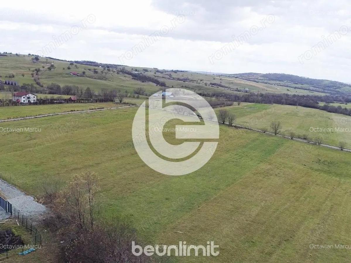 Teren intravilan in Tocile - 4354 m2 - 2 fronturi - oferta competitiva - 9