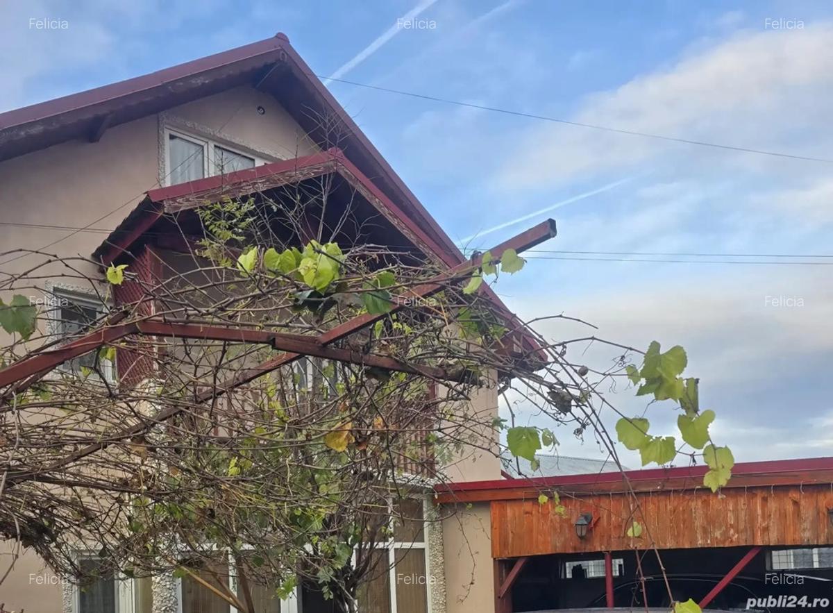 Casa de Vanzare! - 9