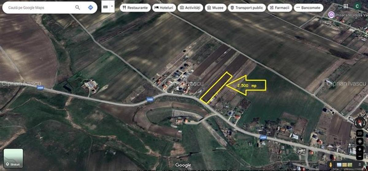 Teren intravilan 2500 mp pentru casa ? Popricani sat Vinatori - 2