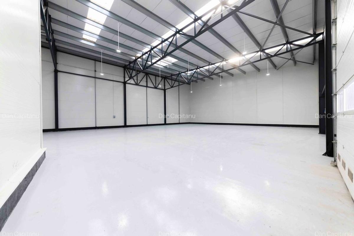 Zona Drumul Intre Tarlale - hale noi 600mp - 4