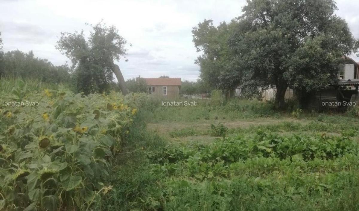 RECO Casa in Ciumeghiu la 18km de Salonta - 1