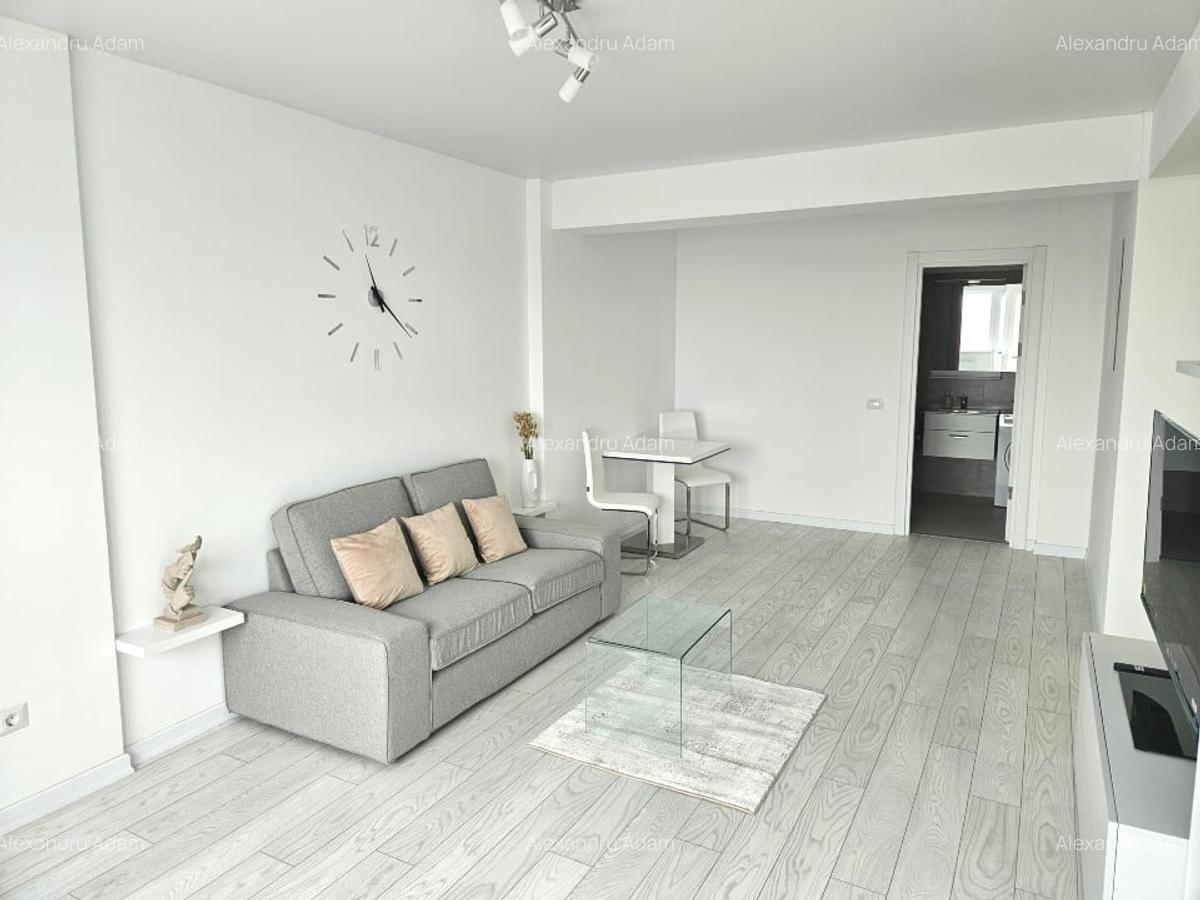 High Standard XL studio in Grozavesti - 5