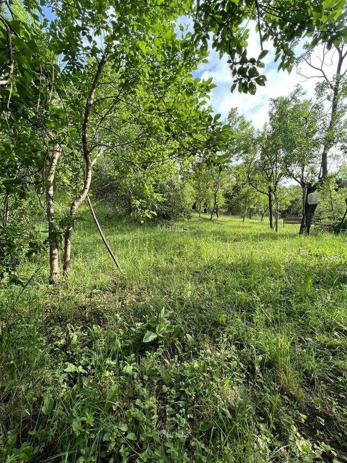 Casa de vacanta pe deal, D+P+M cu 8400 mp, teren - 4